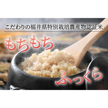 ふるさと納税 特別栽培米 ミルキークイーン 玄米 5kg×2袋（計10kg） 農薬不使用 化学肥料不使用 ／ 高品質 鮮度抜群 福.. 福井県あわら市