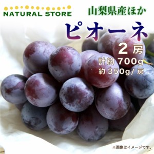   ピオーネ 2房 約700g 約350g x 山梨県 長野県産ほか 化粧箱 果実化粧箱  夏ギフト 御中元 お中元