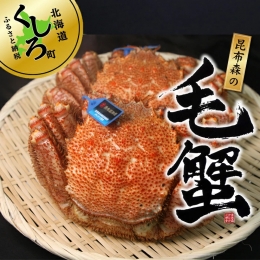 ＼先行予約／ 北海道 昆布森 毛蟹 (2～3尾 合計1kg)＜出荷時期：2024年3月ごろ出荷予定＞