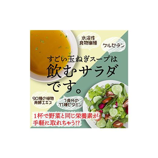 ふるさと納税 群馬県 富岡市 すごい玉ねぎスープ30包×2