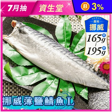 【鮮綠生活】超大尺寸超厚正挪威薄鹽鯖魚L (毛重200g-230g/片) 鯖魚排