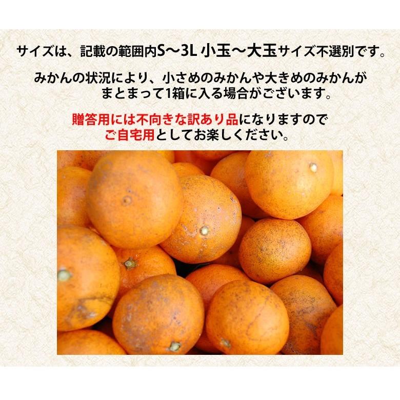 みかん 10kg 送料無料 訳あり 温州みかん 送料無料 S〜3L 熊本県産 熊本みかん 訳ありみかん 蜜柑 ミカン