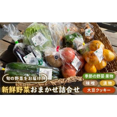 ふるさと納税 新鮮野菜・加工品 おまかせ詰め合わせ野菜 フルーツ 漬物[HAG015] 佐賀県江北町