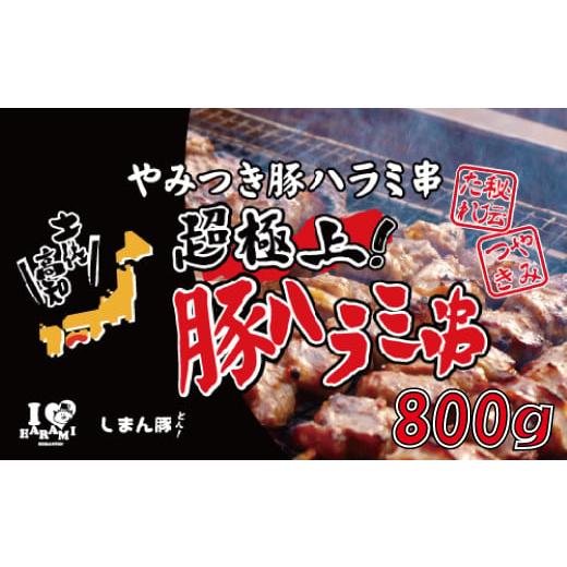 ふるさと納税 高知県 四万十市 R5-039．秘伝のタレに漬け込んだ「しまん豚(とん)」のやみつき豚はらみ串10本(約800g)セット