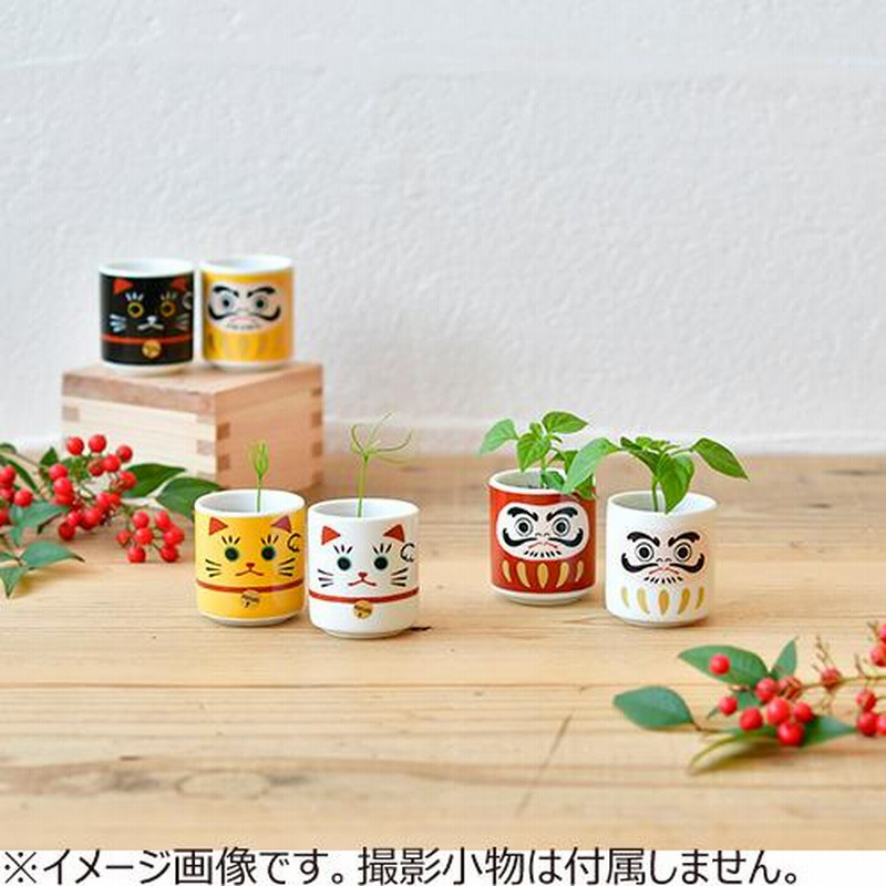 即出荷 聖新陶芸 カクタス de 丸サボテン グリーン 7.4cm