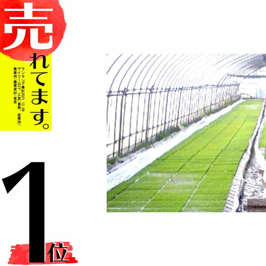 丈夫で長持ち 育苗用 プールシート 厚さ0.26mm×幅 300cm ×長さ 20m プール育苗 シート オK 代引不可