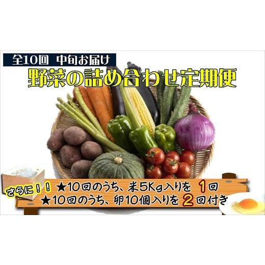 ふるさと納税 長崎県 松浦市 米5kgと卵20個付き！野菜の詰め合わせ定期便10回(中旬) 米 ご飯 お米 白米 5キロ 卵 たまご タマゴ 野菜 詰…