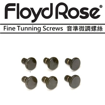 Floyd Rose Fine Tunning Screws 六顆裝 電吉他 大搖 雙搖 音準 微調 螺絲