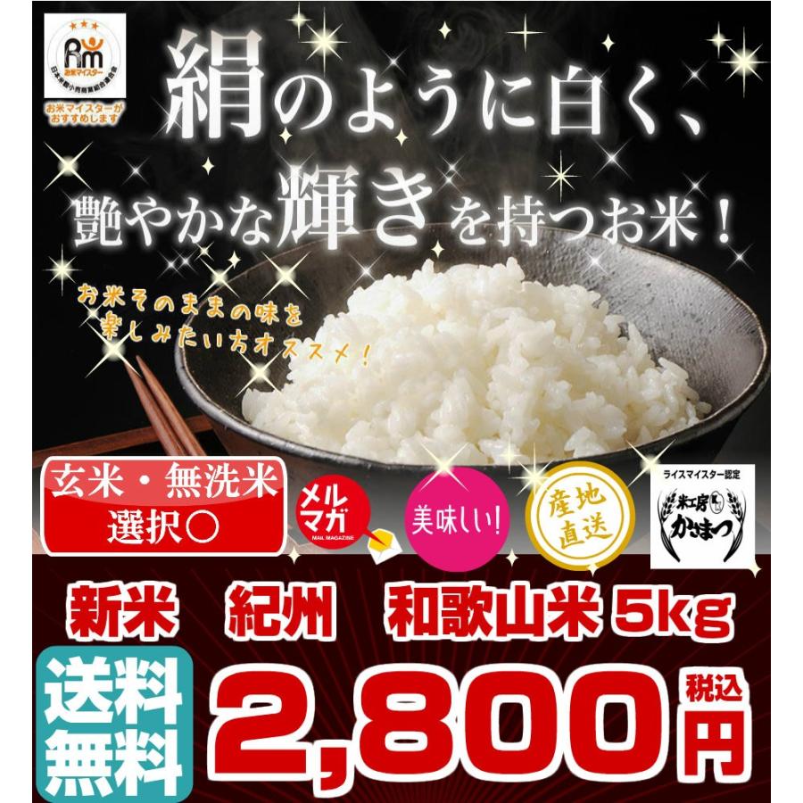 和歌山米 5kg 米 お米 和歌山産 新米 白米 玄米 令和3年産 送料無料 和歌山県産 タイムセール