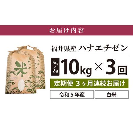 ふるさと納税 定期便≪3ヶ月連続お届け≫ハナエチゼン 10kg × 3回 令和5年 福井県産 [e30-c010] 福井県越前町