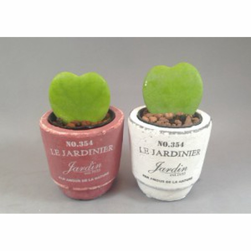 Le Jardinier テラコッタポット ラブラブハートホヤ２鉢セット ハイドロカルチャー 通販 Lineポイント最大1 0 Get Lineショッピング