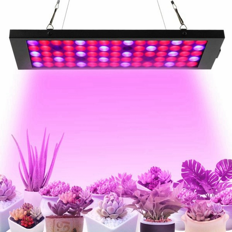 Qlm 植物 育成 Led ライト 植物ライト 40w 75個 Led ライト青8灯 赤53灯 Uv2灯 Ir2灯 広い照明面積 植物ライト 省エネ 光合成 多肉植物育成 室内栽培ライト 家庭 通販 Lineポイント最大0 5 Get Lineショッピング