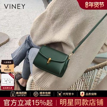 Viney包包女2025新款秋冬女包斜挎包小方包高級感小包百搭腋下包