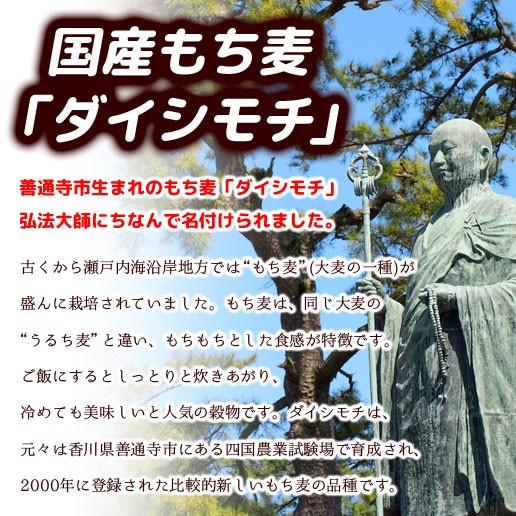 もち麦 送料無料 国産もち麦 450g ダイシモチ βグルカン ダイエット 米 大麦 突撃 非常食 もちプチ