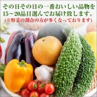 紀州の野菜・果物セット定期便（15～20品目）年6回