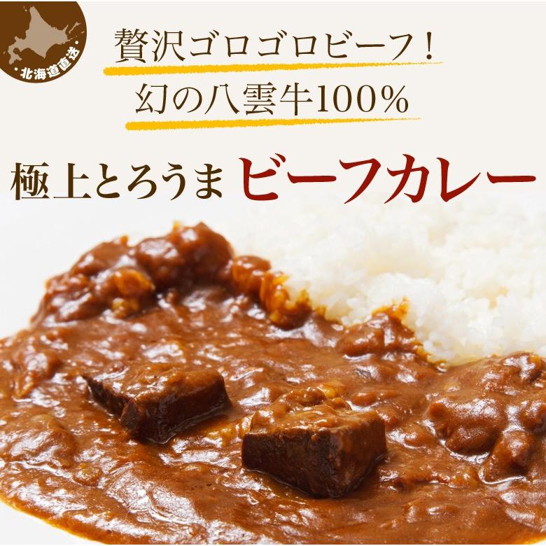 ポイント消化 ビーフカレー レトルトカレー 3食セット 北海道 札幌 1000円ポッキリ 送料無料