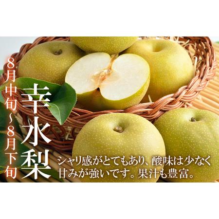 ふるさと納税 福井梨 3kg 6〜8玉入 《幸水梨 豊水梨どちらかのお届け！》 ／ 期間限定 果物 フルーツ 産地直送 旬 お取り寄せ ※2.. 福井県あわら市