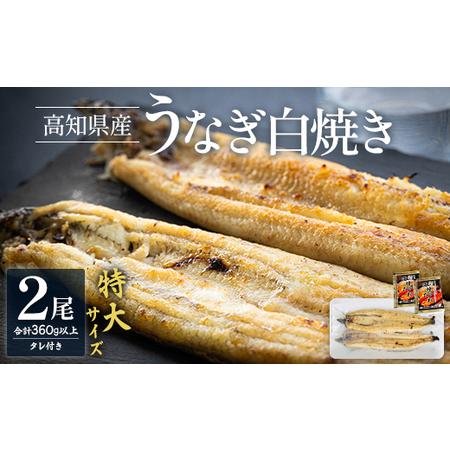 ふるさと納税 吉川水産 高知県産うなぎの白焼き 特大サイズ(180〜210g)×2尾 タレ付き yw-0044 高知県香南市