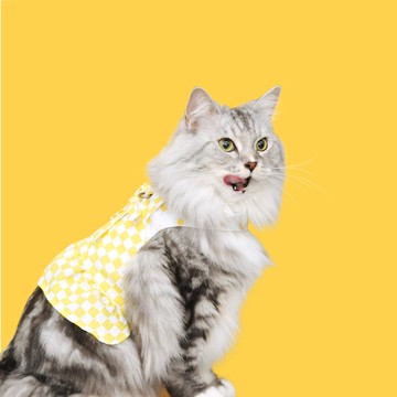 朝蕾 Among 寵物胸背衣