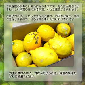 EA6024n_完熟 レモン 7kg 皮までご使用いただける低農薬栽培!