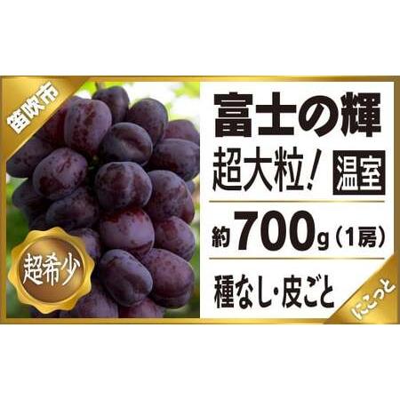 ふるさと納税 ＜2024年先行予約＞温室富士の輝1房約700g 097-002 山梨県笛吹市