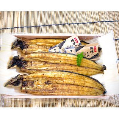 ふるさと納税 潮来市 増田川魚店のうなぎ白焼