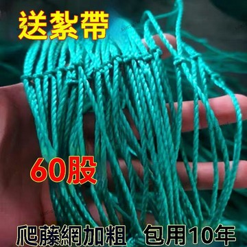 【限時優惠】植物爬藤網 加粗60股 絲瓜爬藤網 耐用 葡萄爬藤網 百香果爬藤網 攀爬網 藤蔓植物搭架網 養殖網 圍網