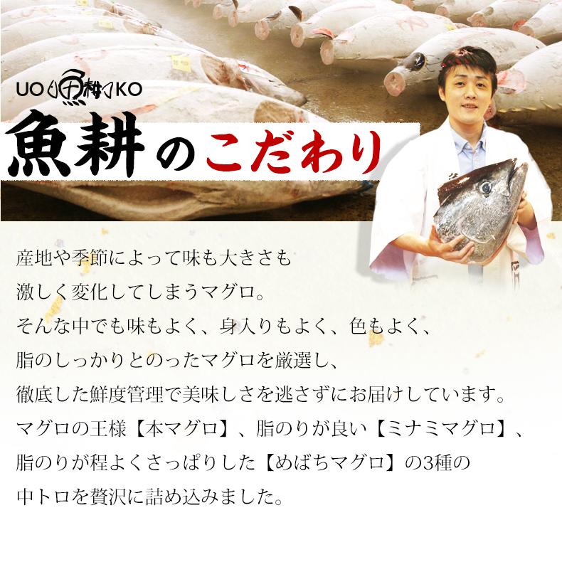 天然本マグロ 中トロ 3種約2人前 各100g×3個 300g ミナミマグロ 本マグロ めばち鮪