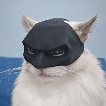 搞笑猫咪面具黑色蝙蝠頭型大型適用萬聖節寵物生日面具猫面具