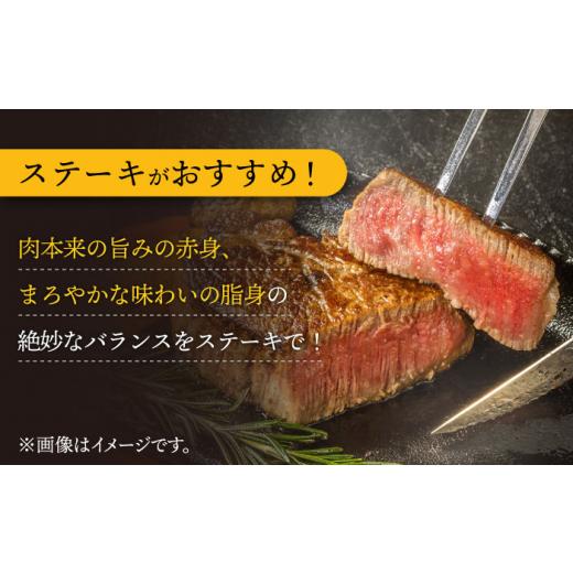 ふるさと納税 長崎県 東彼杵町 長崎和牛 サーロイン ステーキ 600g (200g×3枚) 肉 お肉 ステーキ肉 牛肉 和牛 希少部位 東彼杵町／黒牛 [BBU077]