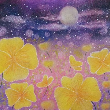 |逗夯| 衣索比亞 夏茉卡 日曬|淺中の經典級單品咖啡豆