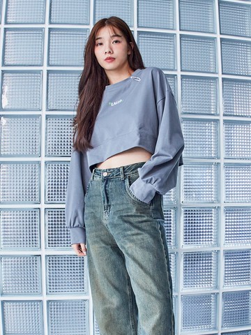 美景背圖短版長袖上衣