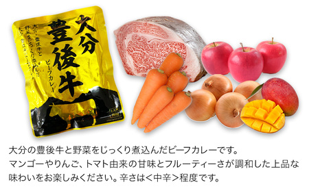 大分豊後牛ビーフカレー 10袋セット レトルト カレー ビーフ レトルト食品 和牛カレー お惣菜 大分県産 九州産 津久見市 国産 熨斗対応可