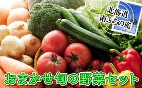 北海道南ふらの町より直送！おまかせ旬の 野菜 セット 北海道 南富良野町 詰合せ 2024年発送 先行予約