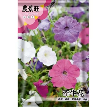 【原廠包裝】牽牛花種子(Morning glory)2克裝 爬藤植物 圍籬陽台綠化 四季開花 易爆盆好種植 新手必備
