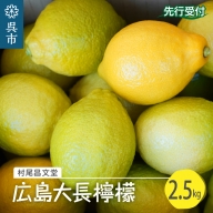 国産檸檬（レモン）発祥の地　広島大長檸檬　2.5kg