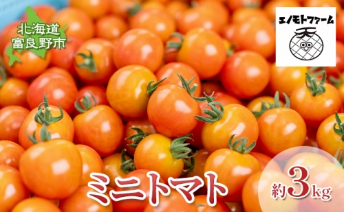 北海道 富良野産 ミニトマト 約3kg キャロル10 トマト ふらの トマト 甘い 野菜 (榎本農園)