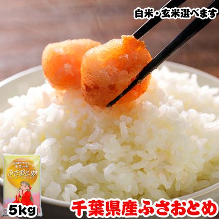 新米 5kg ふさおとめ 米 令和5年産 千葉県産 白米 内のし対応 贈り物