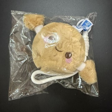 有貨可下標🚚張凌赫适可膚小核桃毛絨掛件 官方正品 張凌赫周邊 掛件