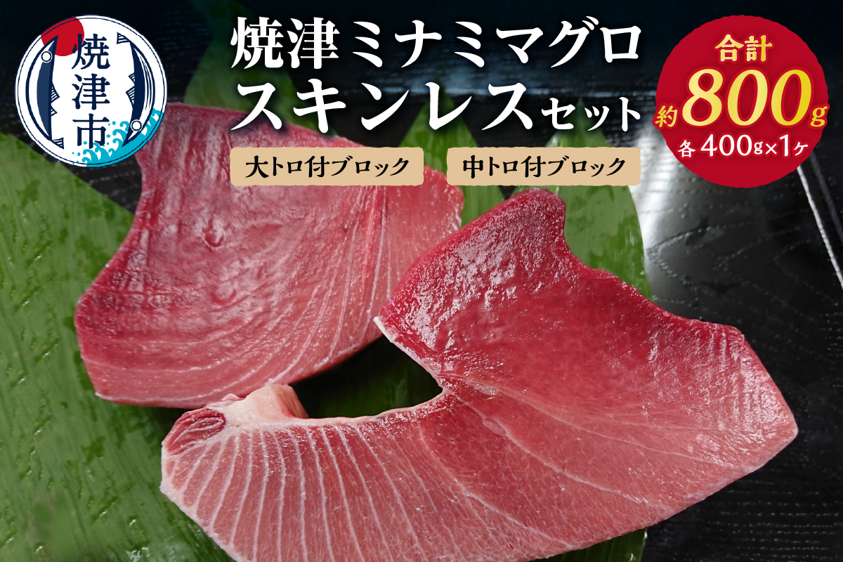 a31-011　 焼津ミナミマグロスキンレスセット