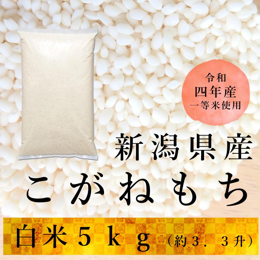 もち米 ５kg  こがねもち 新潟産 令和５年産 送料無料※地域別