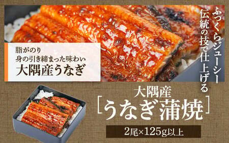 ふるさと2選A うなぎ(有頭・125g以上×2尾) と焼豚(約200g×5個・計約1kg)のセット 鹿児島 国産 九州産 黒豚 豚肉 お肉 焼豚 チャーシュー うなぎ 鰻 ギフト 贈答 特別な日に