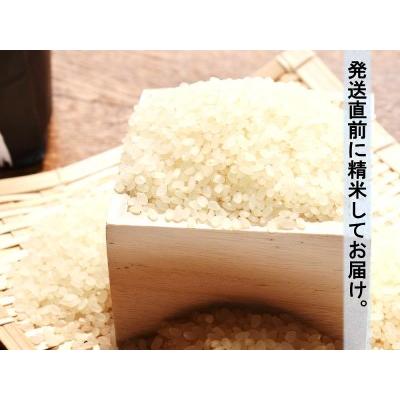 ふるさと納税 令和5年産 無洗米こしひかり 5kg【 米 全6回お米 宮崎県産米 九州産米 お米 米飯 無洗米 国産米 お米 白米 お米 米.. 宮崎県川南町