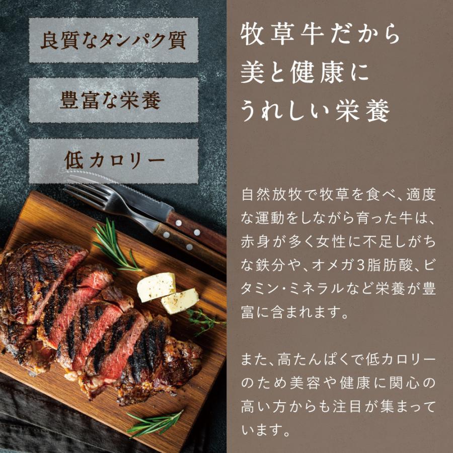 リブロースステーキ 合計150g (150g×1枚) 純日本産 グラスフェッドビーフ 国産 黒毛和牛 赤身 牛肉 焼き肉 BBQ お歳暮 ギフト
