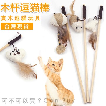 【天然原木 台灣現貨】逗貓棒 貓玩具 逗貓 逗貓玩具 逗貓神器 貓咪玩具 寵物玩具 小貓玩具 貓咪玩具 逗貓神器 逗貓竿