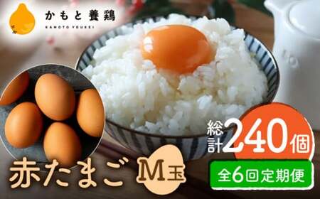  赤たまご M玉 40個 (37個＋割れ保証3個)タマゴ 玉子 熊本県たまご 卵 国産たまご 新鮮たまご あかたまご M玉たまご 熊本たまご 濃厚たまご  [ZCA004]