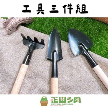 《花田多肉》🌵【工具三件組】 多肉植物/仙人掌/園藝/資材/工具/換盆/組盆