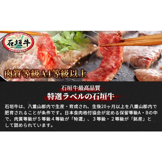 ふるさと納税 沖縄県 石垣市 AB-7 石垣牛すきしゃぶ800g＋焼肉800g特盛セット（いしなぎ屋）