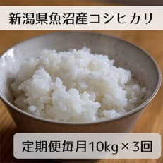新潟県魚沼産コシヒカリ「山清水米」精米10kg全3回