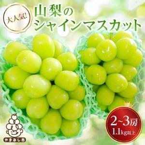 ふるさと納税 大人気!山梨のシャインマスカット2〜3房　1.1kg以上 ふるさと納税 山梨県山梨市